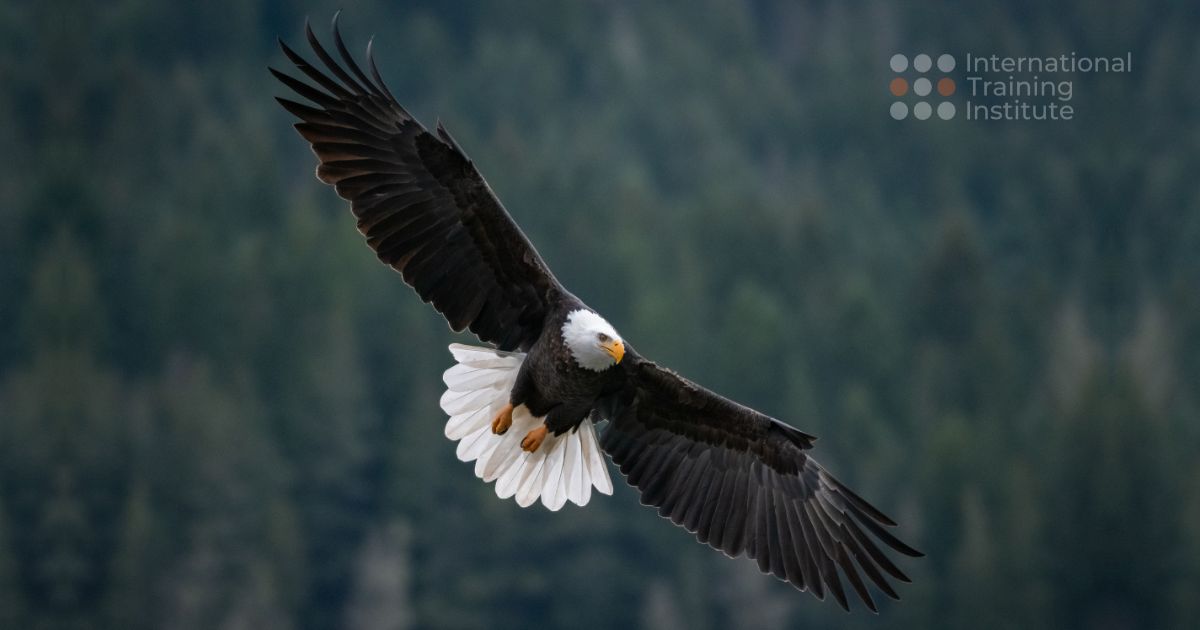 You are currently viewing Up, up and away the solo flight